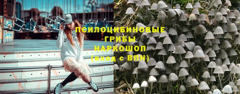 Галлюциногенные грибы Magic Shrooms  Дальнереченск 